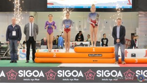 fardella xiv trofeo citta di jesolo   final competition to apparatus 884